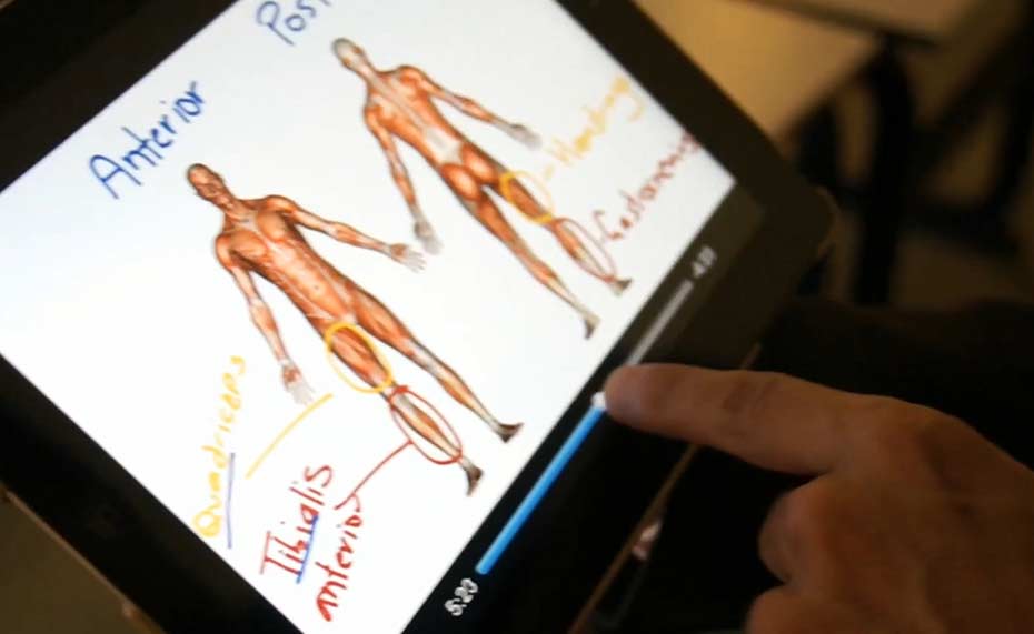Estudiante utilizando una tableta para estudiar anatomía humana con ilustraciones detalladas de los sistemas muscular y esquelético